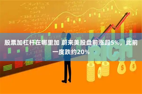 股票加杠杆在哪里加 蔚来美股盘前涨超5%，此前一度跌约20%