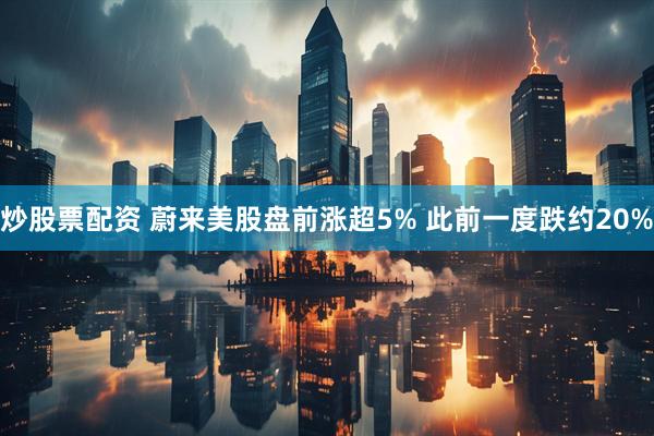 炒股票配资 蔚来美股盘前涨超5% 此前一度跌约20%