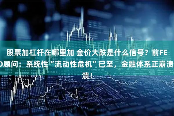 股票加杠杆在哪里加 金价大跌是什么信号？前FED顾问：系统性“流动性危机”已至，金融体系正崩溃！