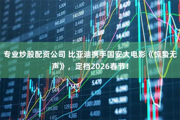 专业炒股配资公司 比亚迪携手国安大电影《惊蛰无声》，定档2026春节！
