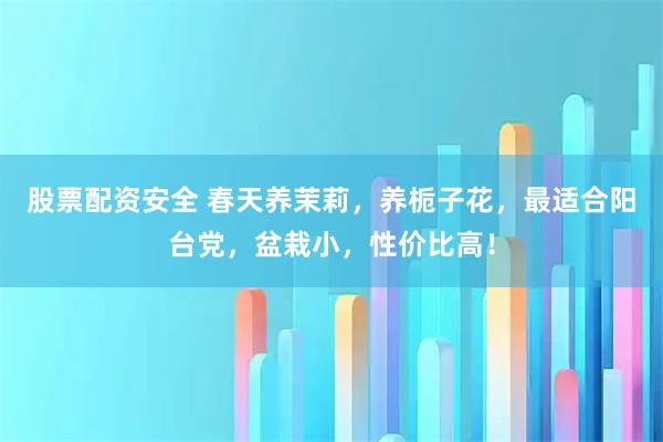 股票配资安全 春天养茉莉，养栀子花，最适合阳台党，盆栽小，性价比高！